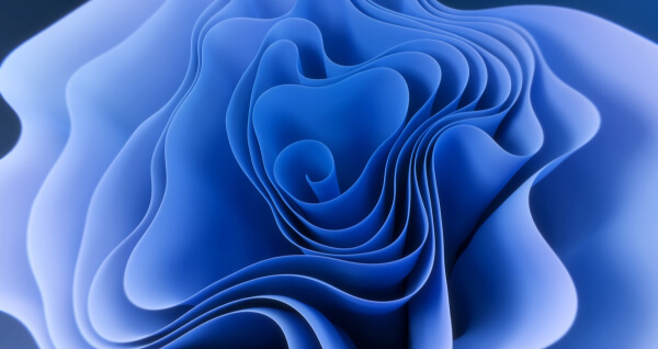 contact-header